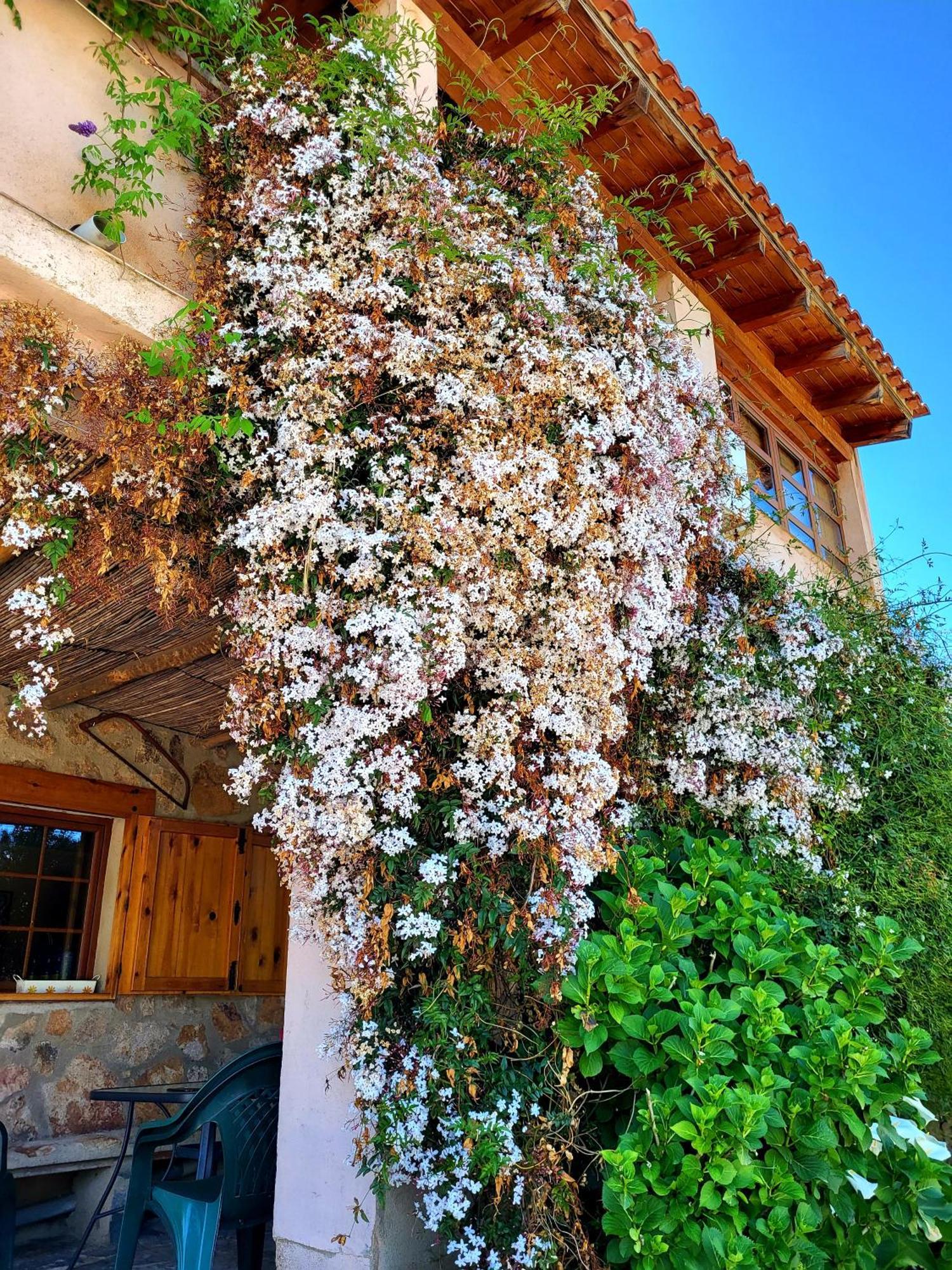 Valencia de Alcántara Casa Rural Balcon Del Camino Viejo מראה חיצוני תמונה