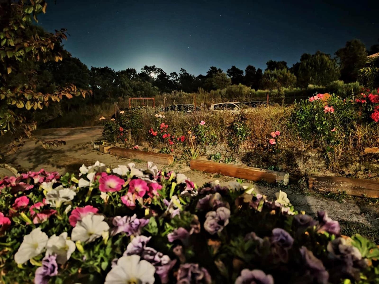 Valencia de Alcántara Casa Rural Balcon Del Camino Viejo מראה חיצוני תמונה