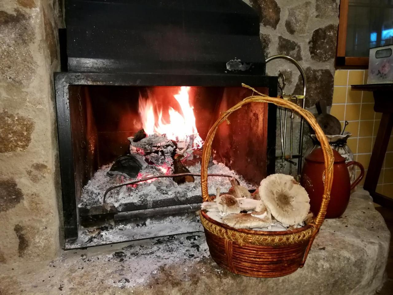 Valencia de Alcántara Casa Rural Balcon Del Camino Viejo מראה חיצוני תמונה